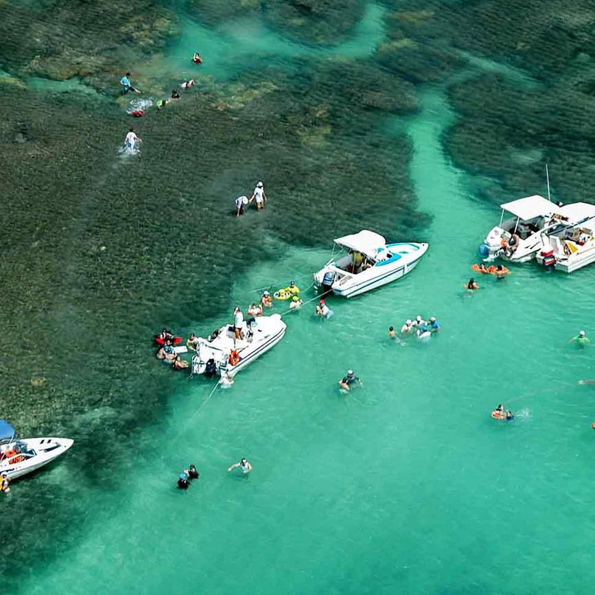 PARRACHOS DE MARACAJAÚ